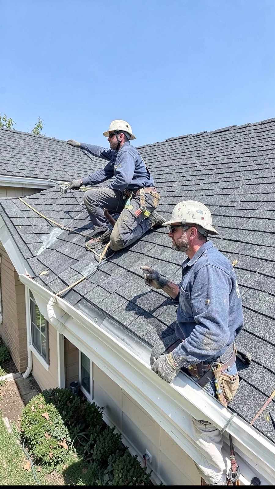 Roofing ? crew creative ? Concept